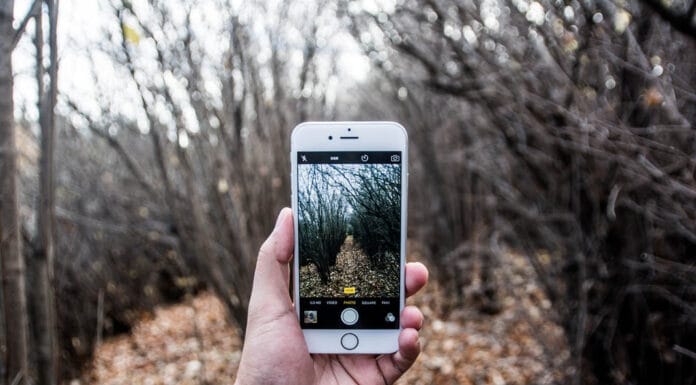 Watch Really Funny Animals Do Crazy Things