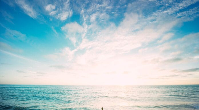 Discover the Birth Place of Pizza